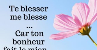 Carte de demande de pardon avec une citation pour dire je suis désolé