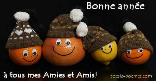 Bonne année à tous ses amies