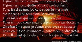 Image Poésie pour la St Valentin