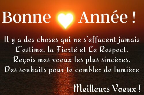 Poème d'amour de bonne année Je t'aime