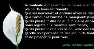 Voeux positifs Bonne année