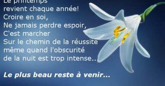 Citation Positive Bonne chance