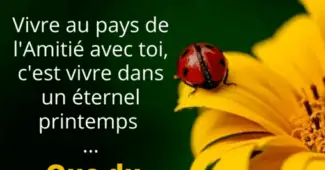 Image pour dire merci à ses amis