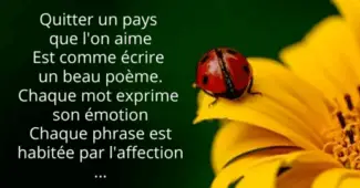Jolie carte pour dire au revoir avant de partir