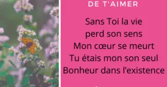 Poemes Tristes Poesie Des Poemes Et Citations D Amour Beaux Messages